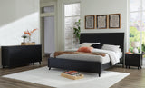 Danziar Panel Bed, Dresser and Nightstand