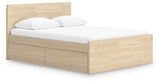 Onita Panel Platform Bed with 2 Side Storage