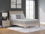 Terra Sleep Medium Mattress