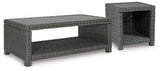 Elite Park Outdoor Coffee Table and End Table