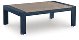 East Beach Outdoor Sofa and Loveseat with Coffee Table