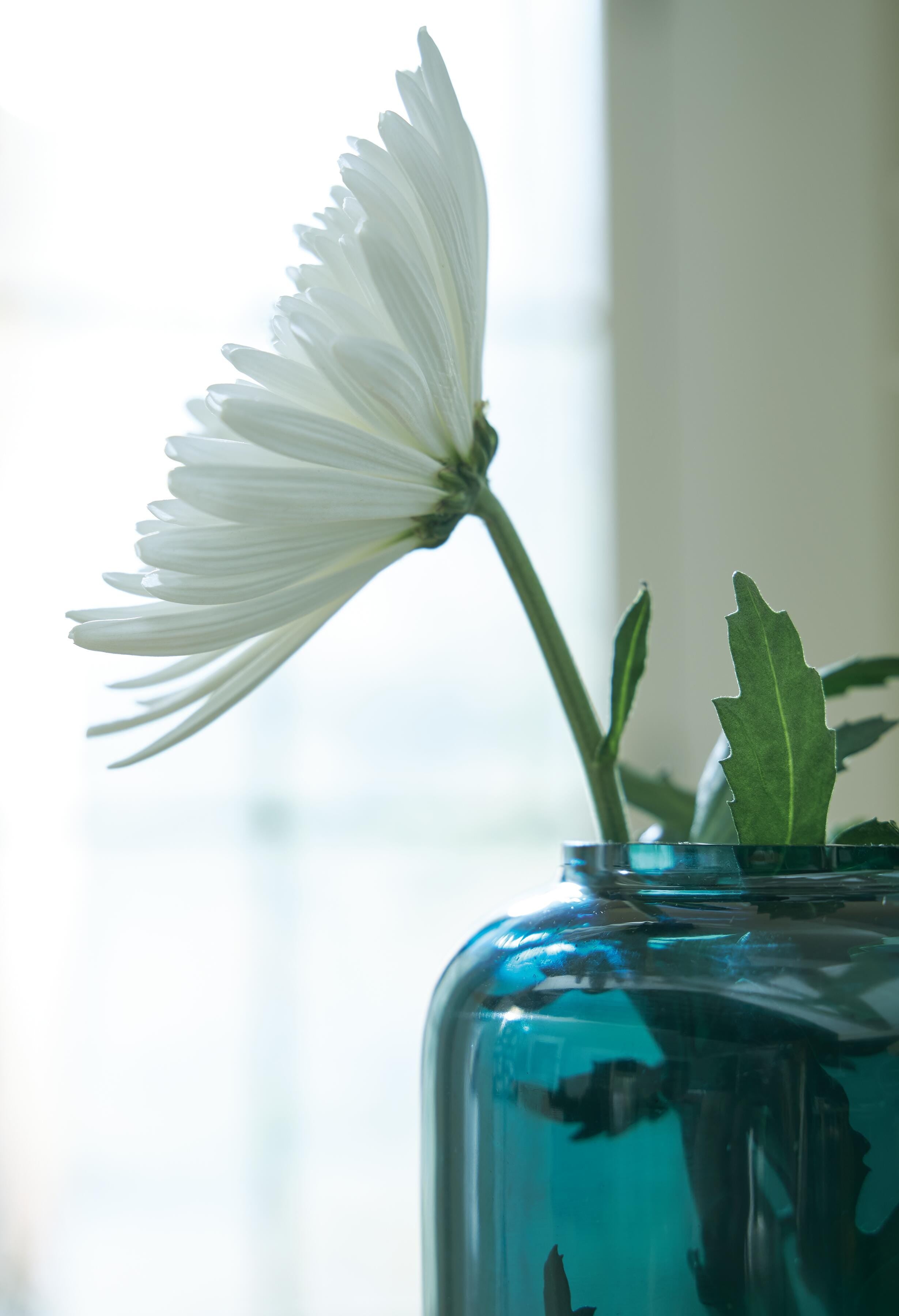Inisland Vase Set (Set of 2)