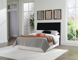 Danziar Panel Headboard
