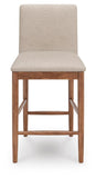Isanti Counter Height Barstool (Set of 2)