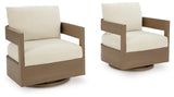Serene Bay Outdoor Swivel Glider Chair with Cushion