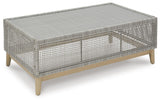 Seton Creek Outdoor Sofa and Loveseat with Coffee Table